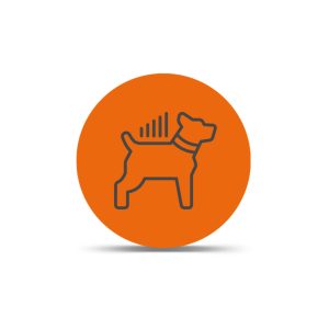 LTE Dog Tracking Plans
